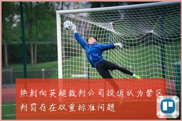 热刺向英超裁判公司投诉认为禁区判罚存在双重标准问题