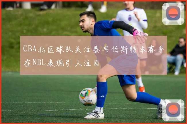 CBA北区球队关注泰韦伯斯特本赛季在NBL表现引人注目